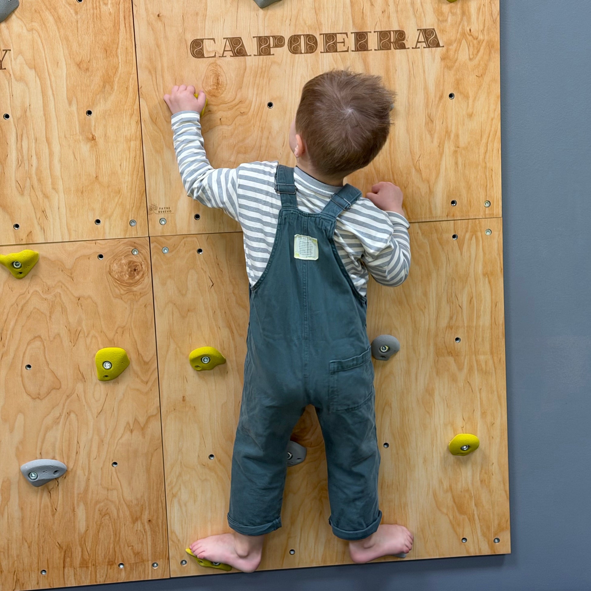 Montessori Climbing Wall for Kids with Holds – Wooden Climbing Wall from Birch Plywood, Finished with Linseed Oil & Beeswax