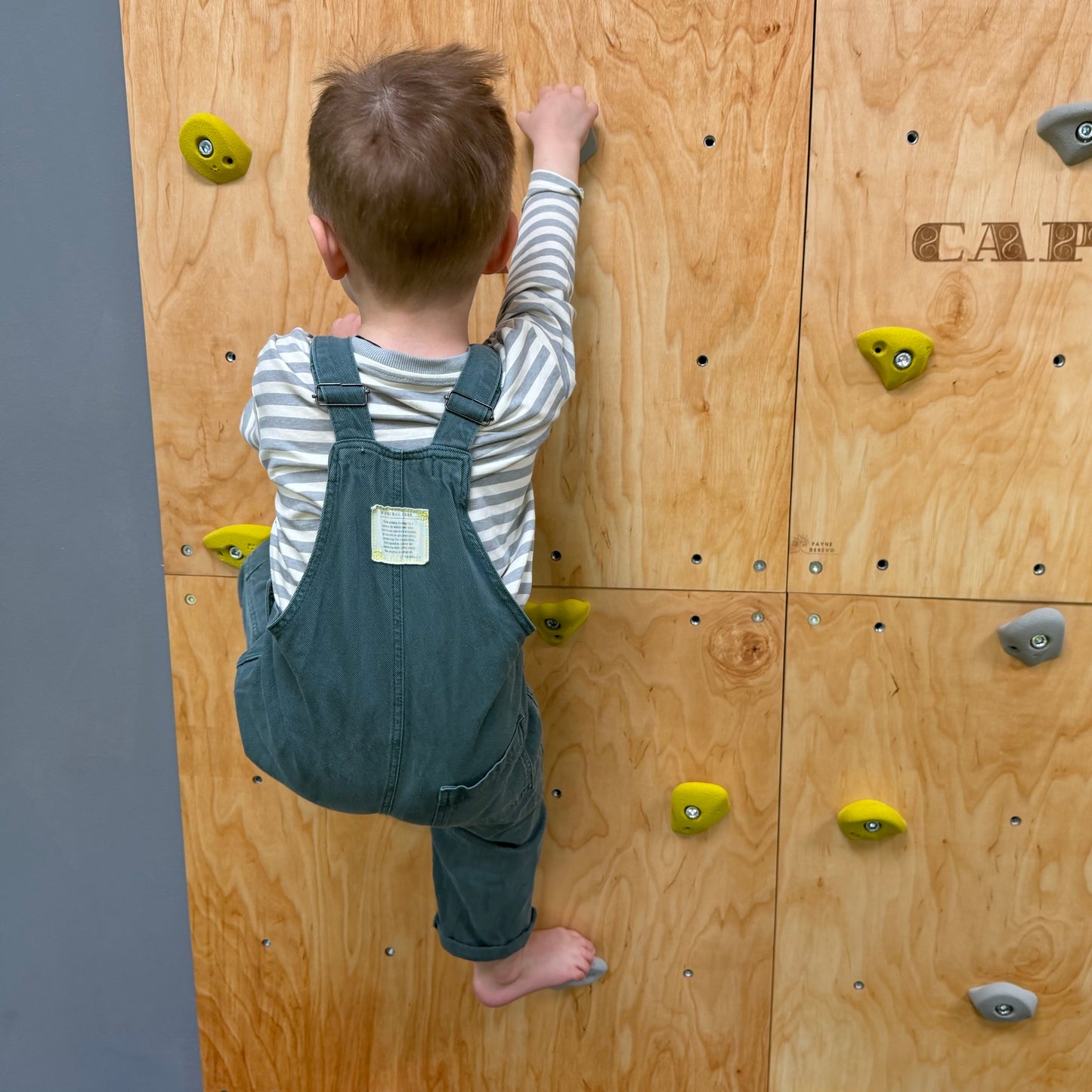 Montessori Climbing Wall for Kids with Holds – Wooden Climbing Wall from Birch Plywood, Finished with Linseed Oil & Beeswax
